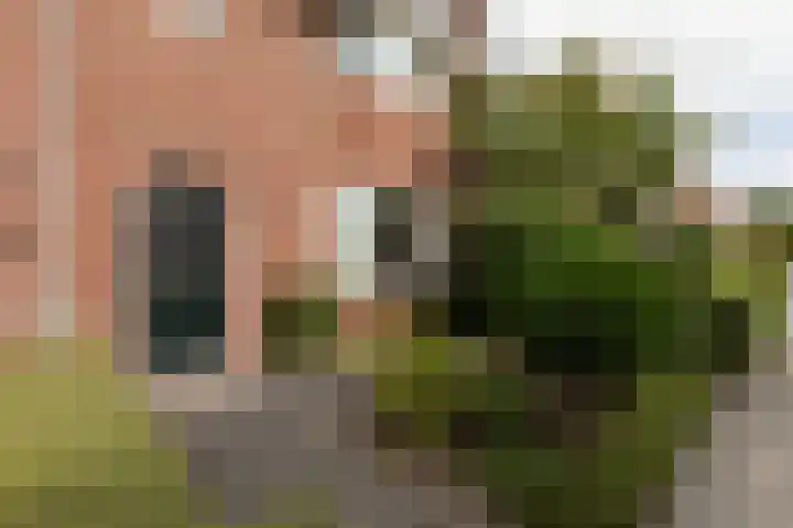 Kerkhoflaan 6 Sneek thumbnail 37