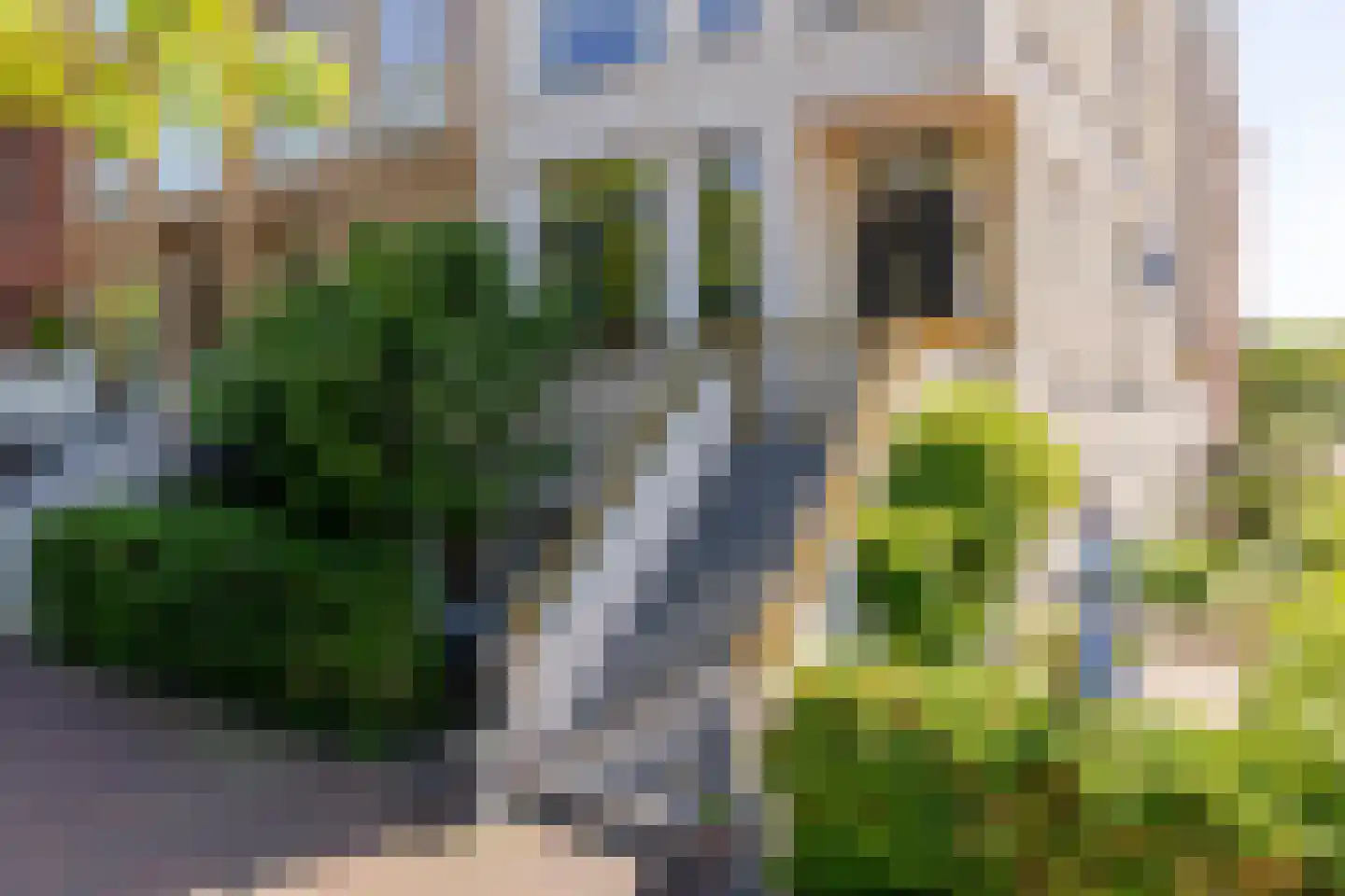 Kerkhoflaan 76 Rotterdam thumbnail 4