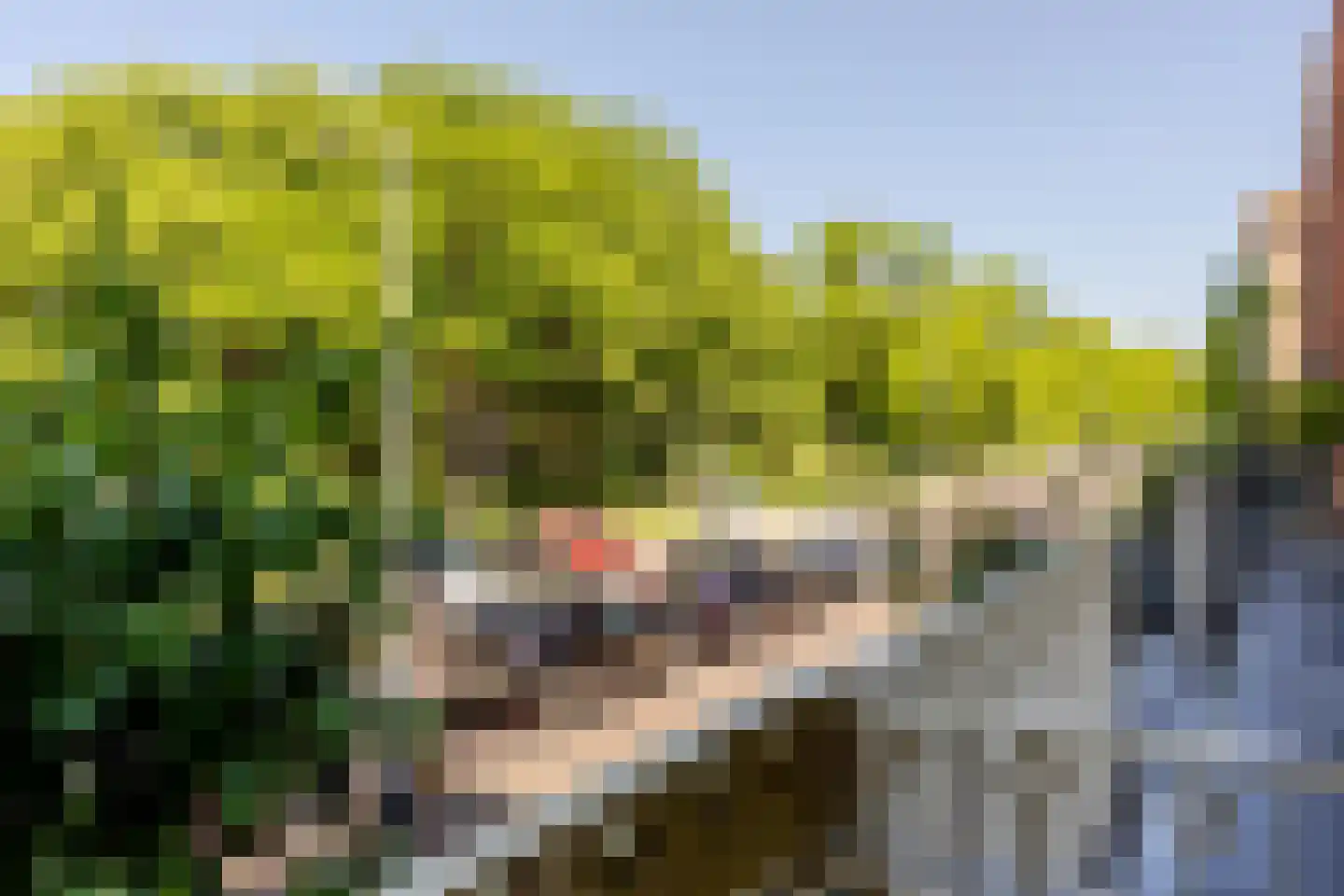 Kerkhoflaan 76 Rotterdam thumbnail 7