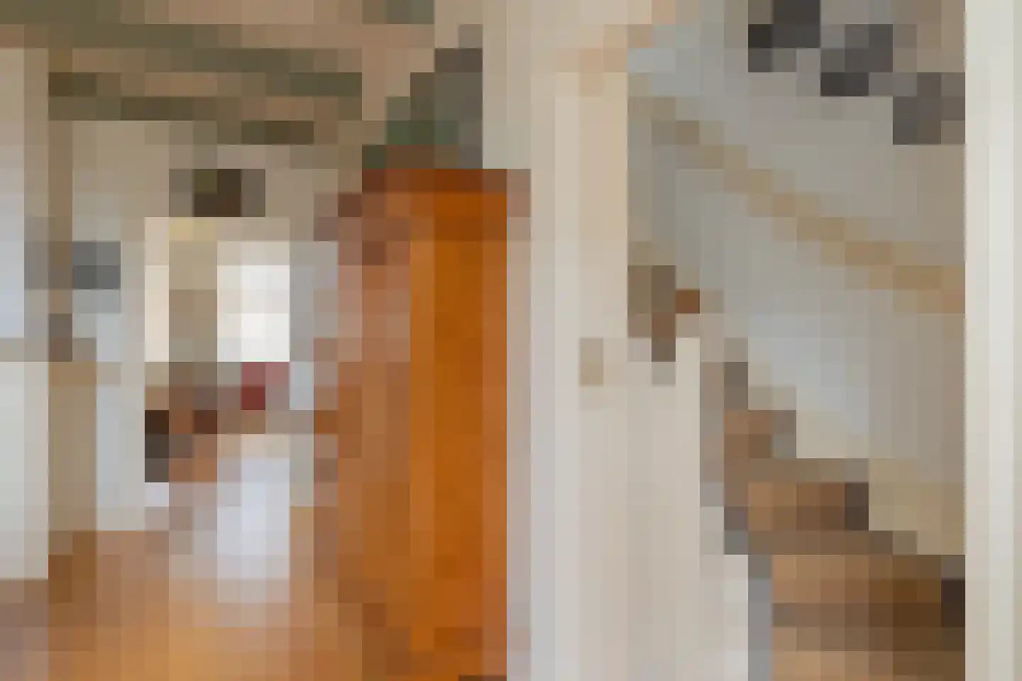 Kerkhofpad 19 Noordwijk thumbnail 17