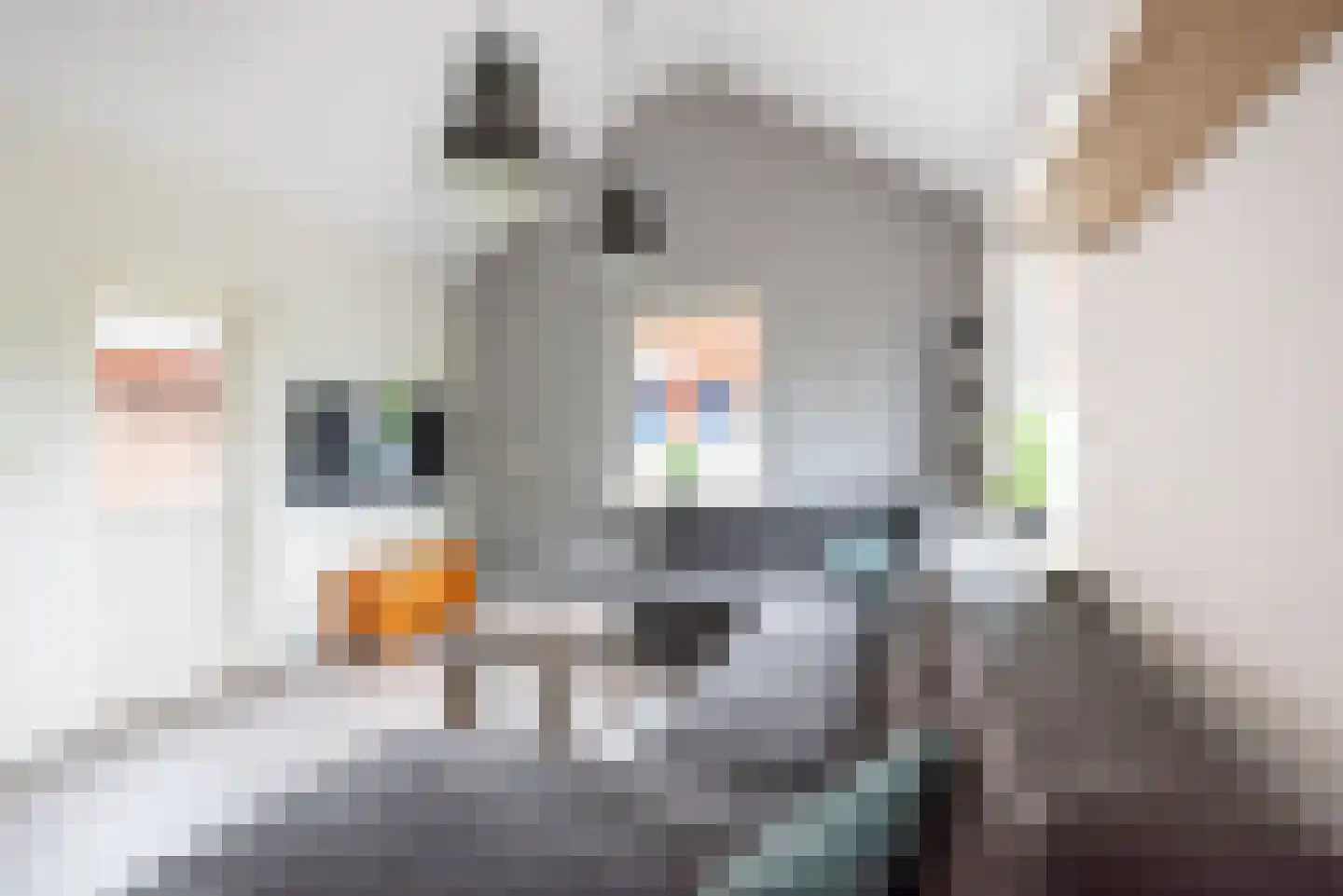 Kerkhofpad 2 Dinxperlo thumbnail 10