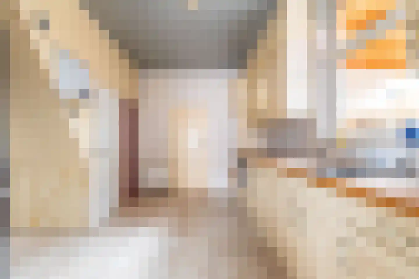 Kerkhofpad 2 Dinxperlo thumbnail 14