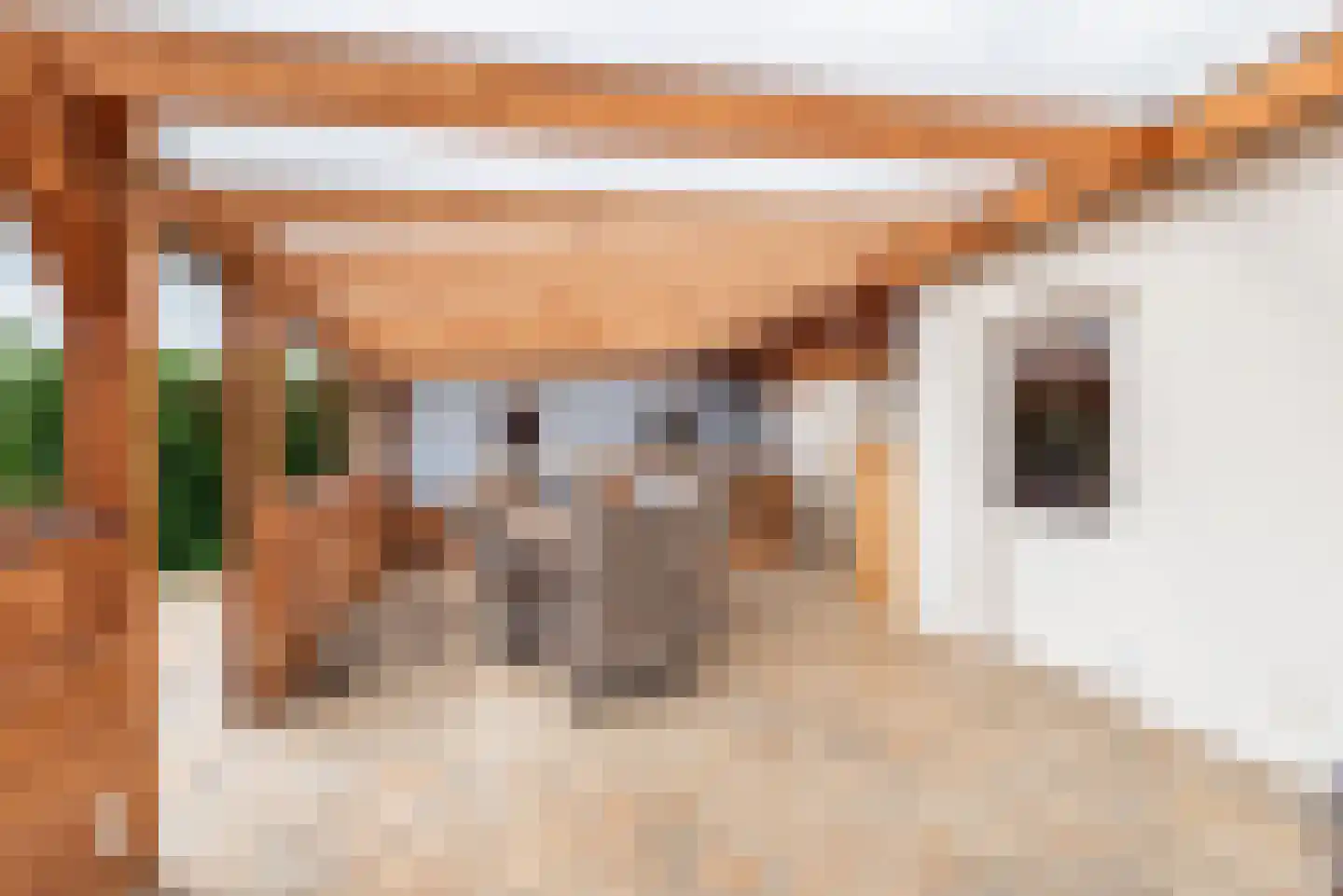 Kerkhofpad 2 Dinxperlo thumbnail 30