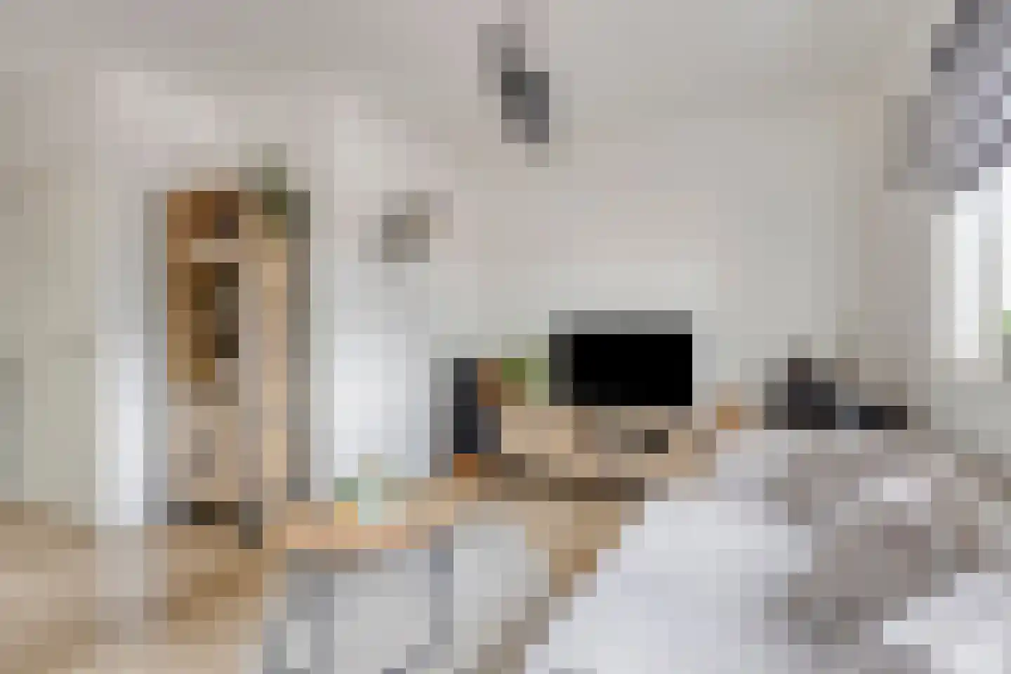 Kerkhofpad 3 C Best thumbnail 12