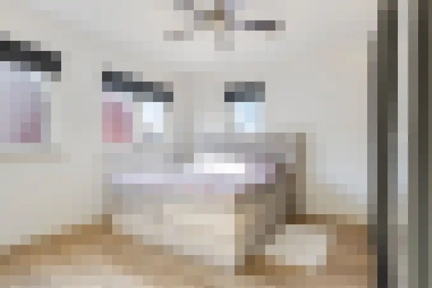 Kerkhofpad 3 C Best thumbnail 23