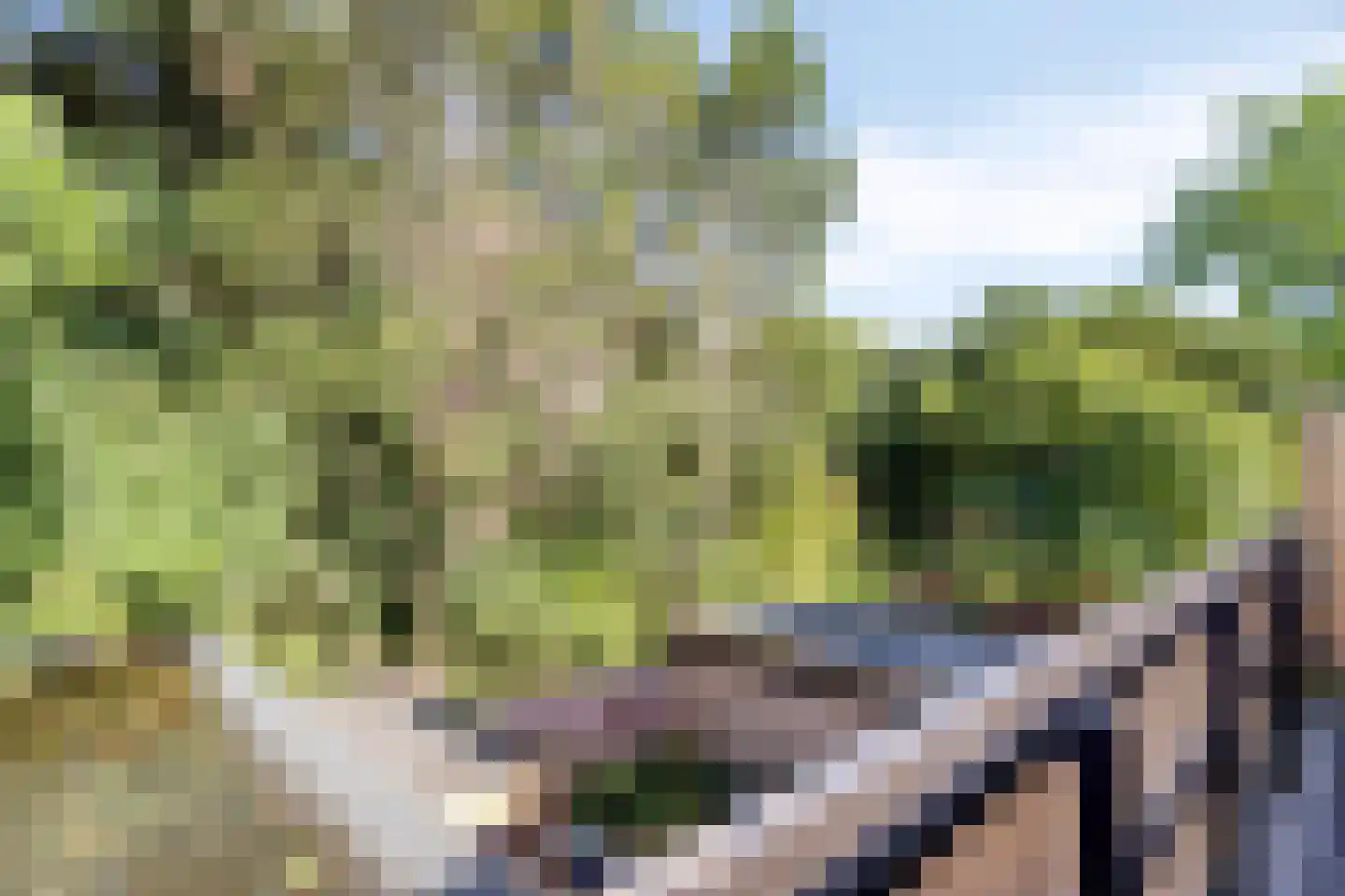 Kerkhofpad 3 C Best thumbnail 32