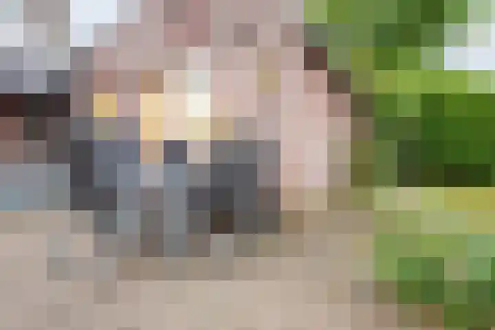 Kerkhofpad 4 Dinxperlo thumbnail 31