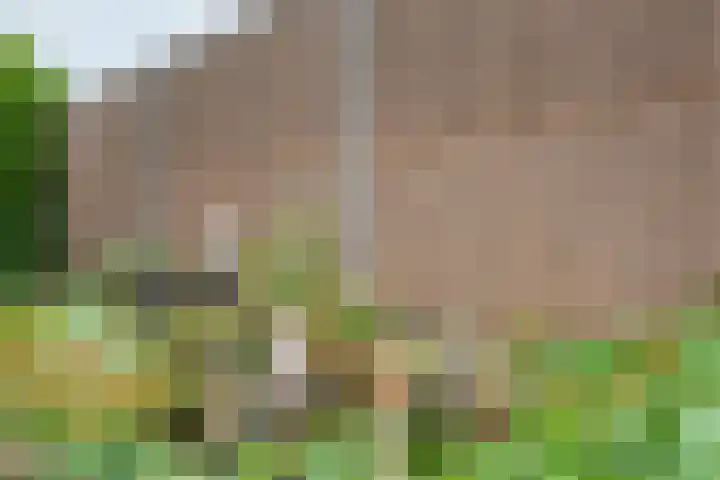 Kerkhofpad 4 Dinxperlo thumbnail 33