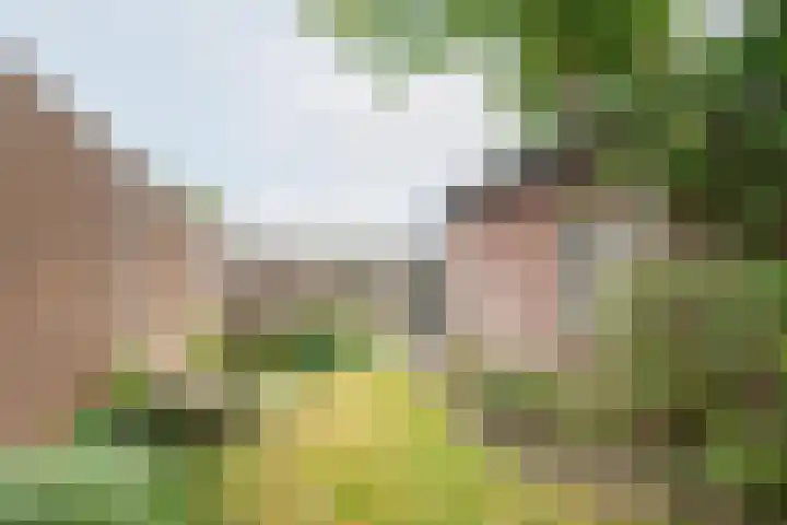 Kerkhofpad 4 Dinxperlo thumbnail 34