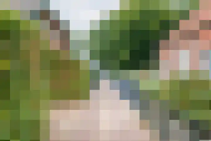 Kerkhofpad 4 Dinxperlo thumbnail 36