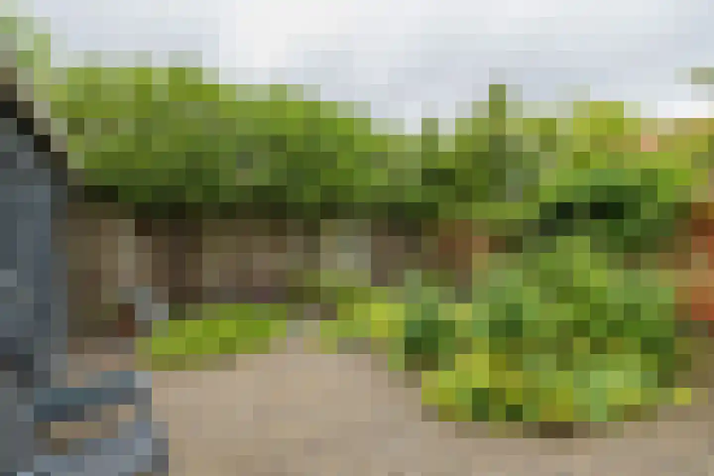 Kerkhofpad 8 Noordwijk thumbnail 11