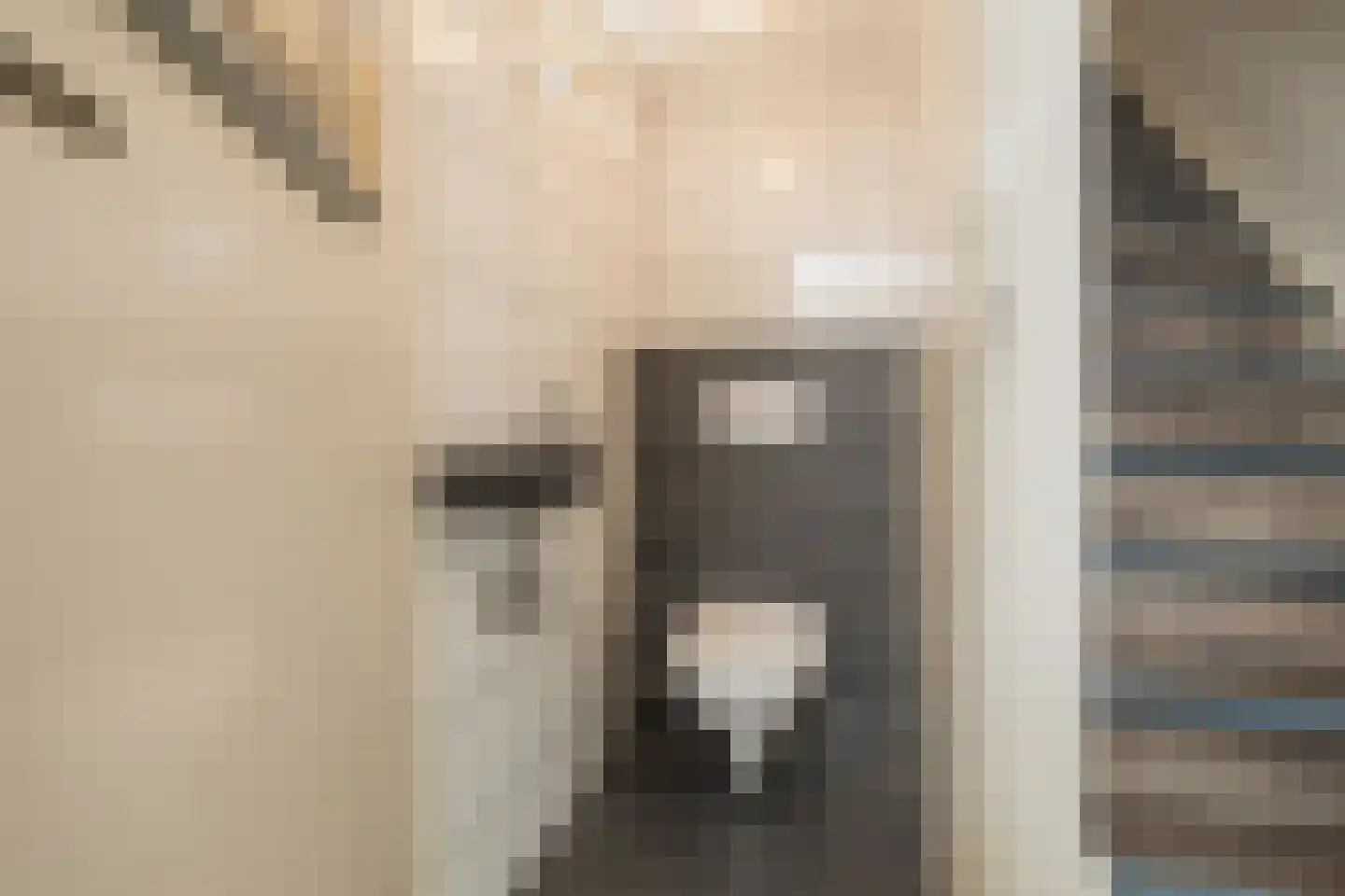 Kerkhofpad 8 Noordwijk thumbnail 15