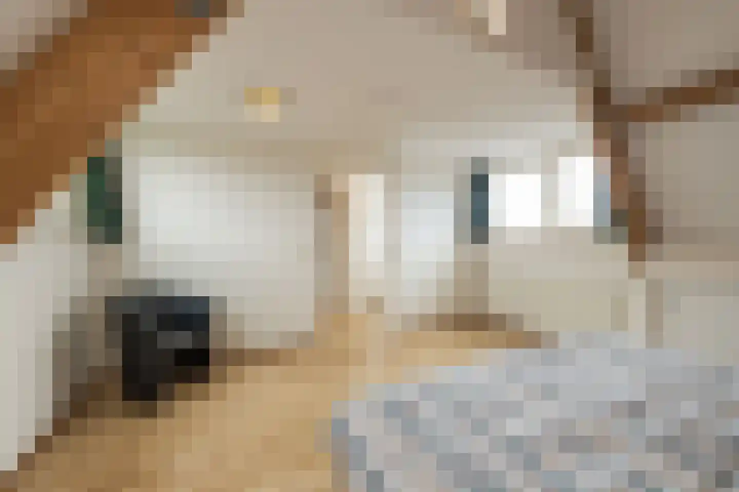 Kerkhofpad 8 Noordwijk thumbnail 26