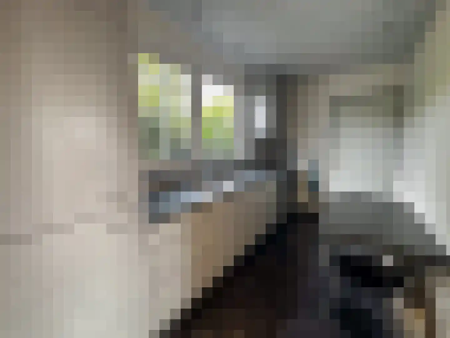 Kerkhofstraat 2 Klein Zundert thumbnail 10