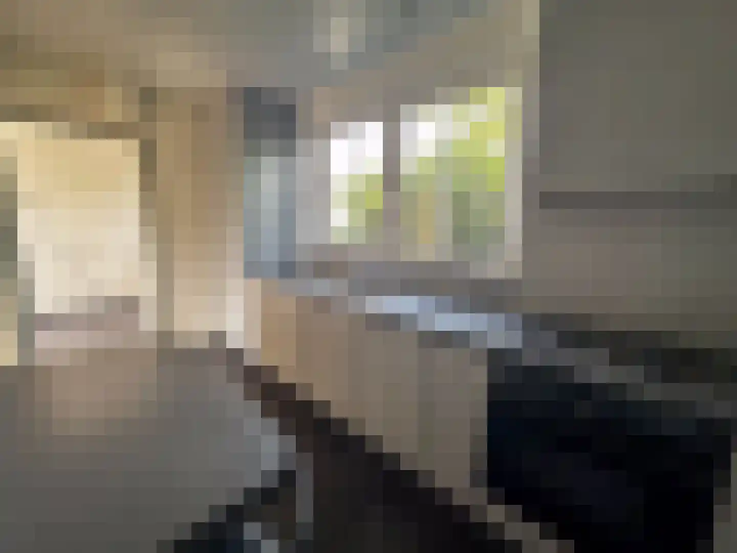 Kerkhofstraat 2 Klein Zundert thumbnail 11