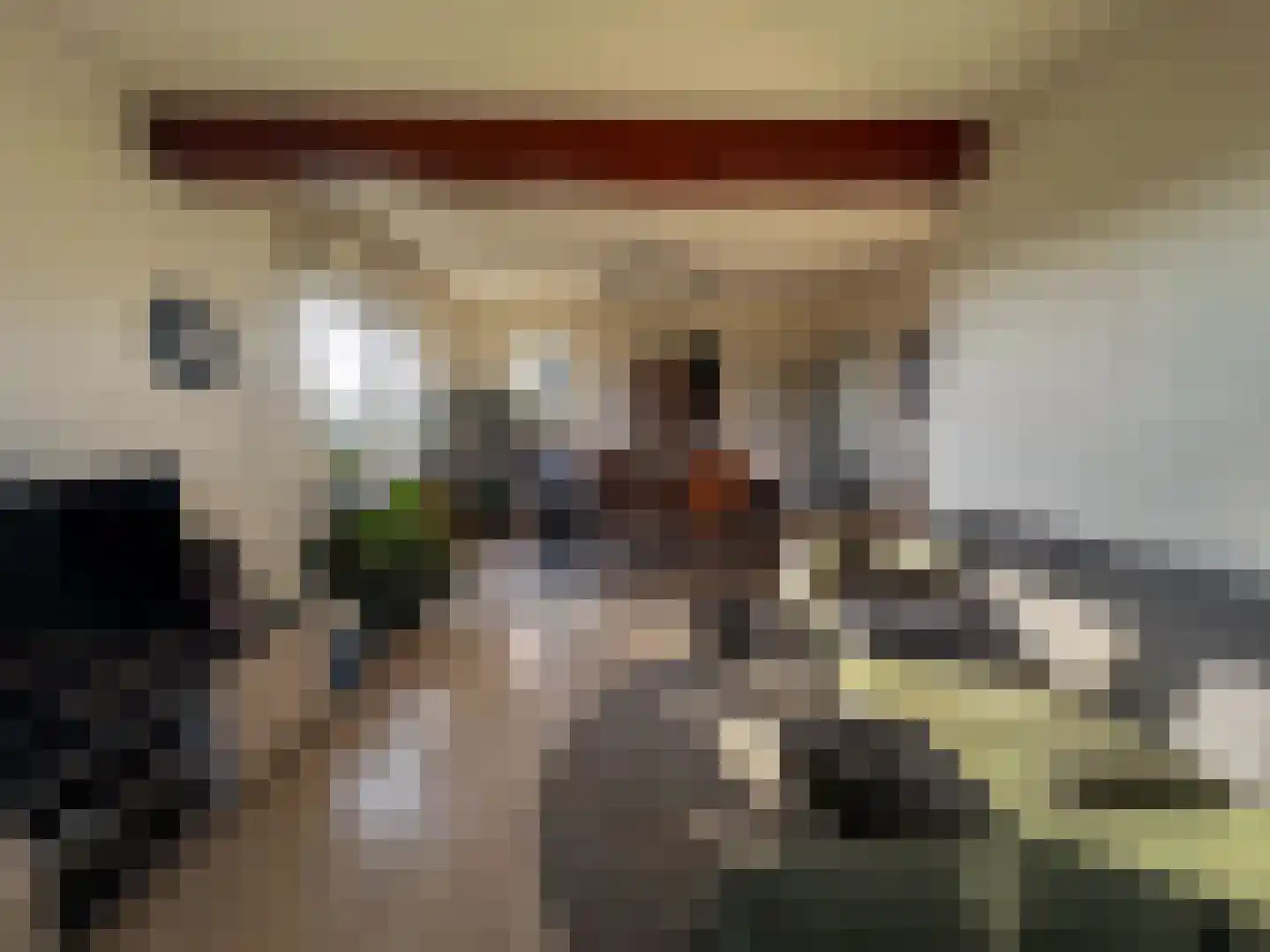 Kerkhofstraat 2 Klein Zundert thumbnail 14