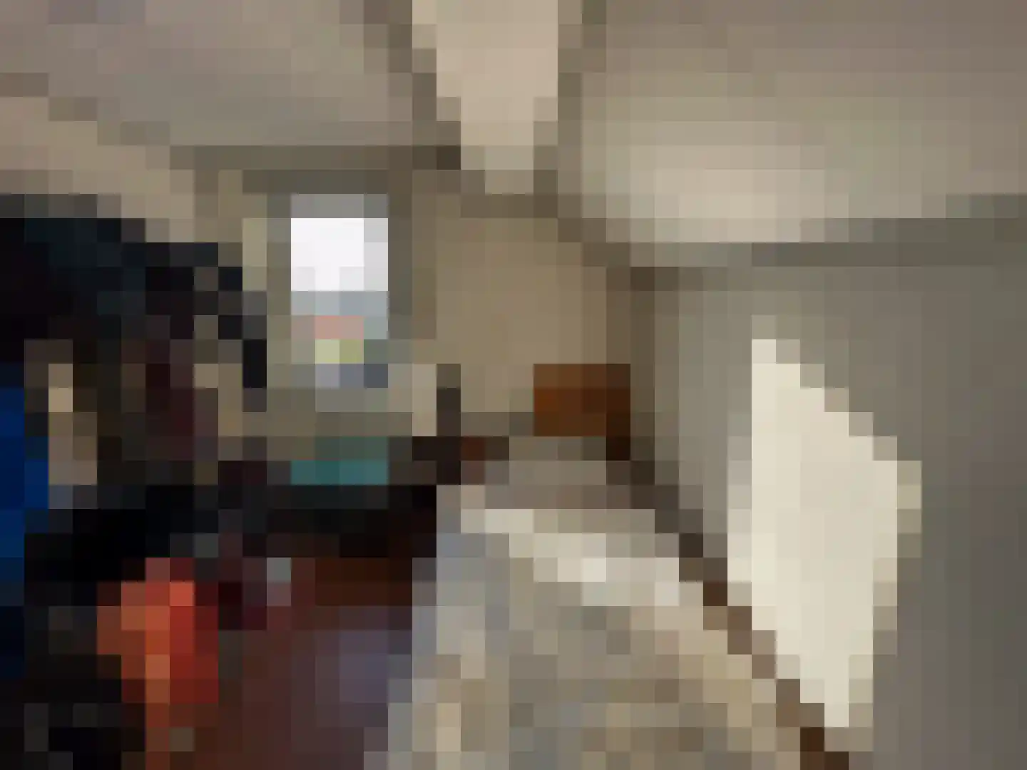 Kerkhofstraat 2 Klein Zundert thumbnail 27