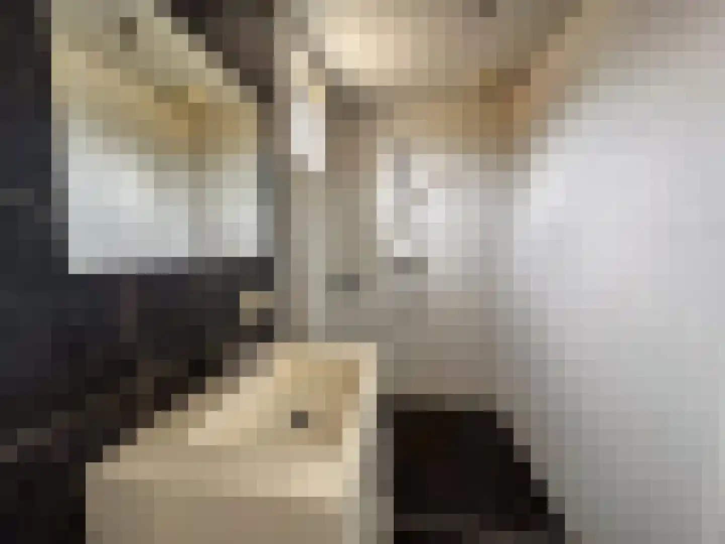 Kerkhofstraat 2 Klein Zundert thumbnail 7
