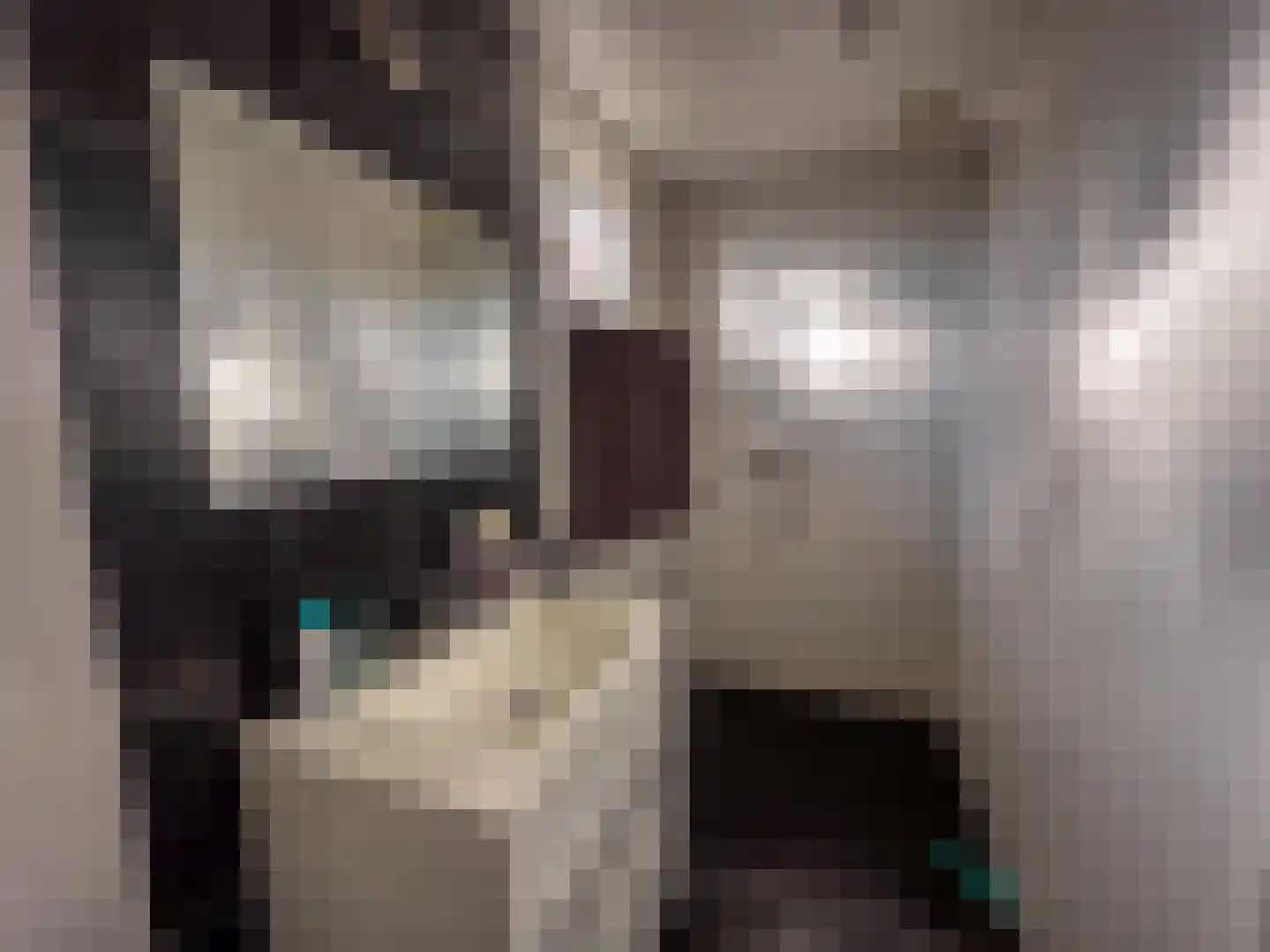 Kerkhofstraat 2 Klein Zundert thumbnail 7