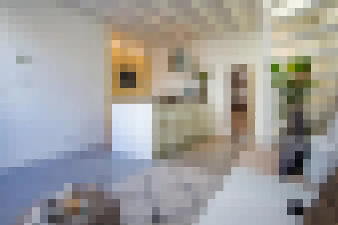Kerkhofstraat 4 Haarlem thumbnail 10
