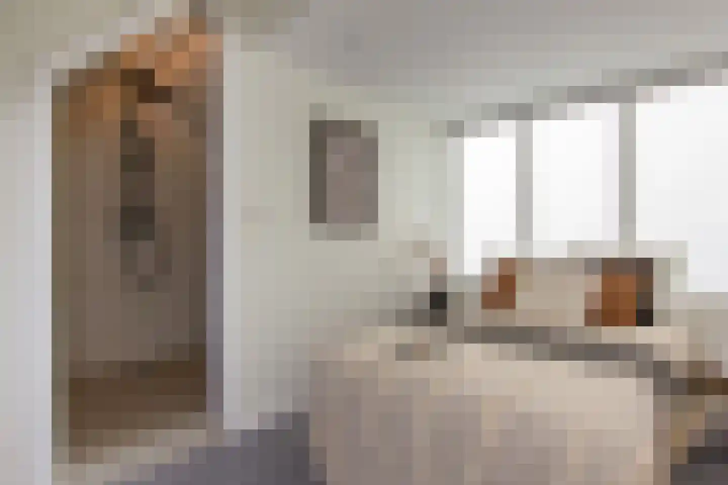Kerkhofstraat 4 Haarlem thumbnail 32