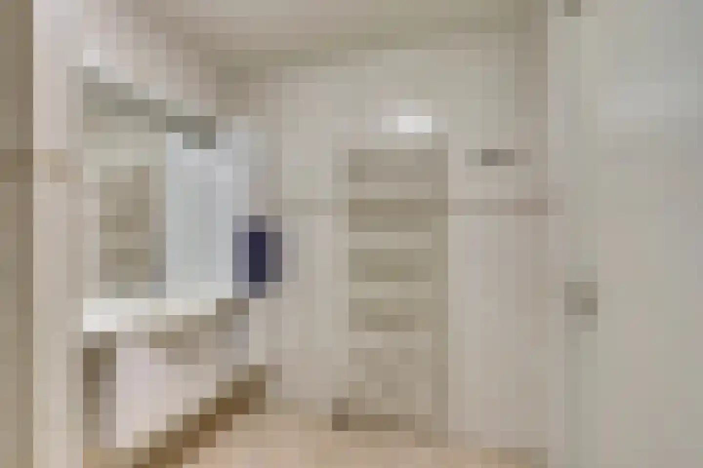 Kerkhofstraat 6 Wierden thumbnail 26