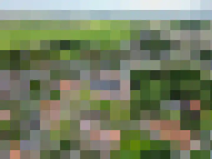 Kerkhofsweg 3 Kantens thumbnail 4