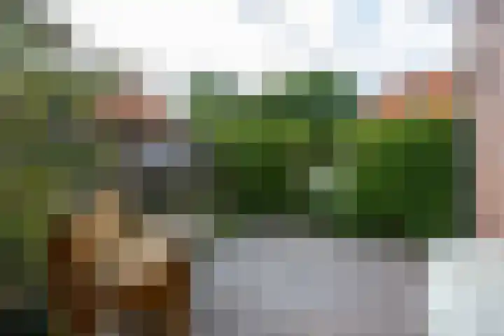 Kerkhofsweg 3 Kantens thumbnail 54