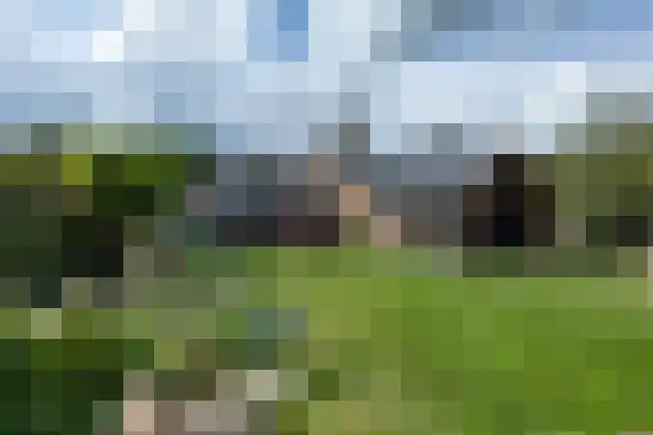 Kerkhofsweg 3 Kantens thumbnail 59