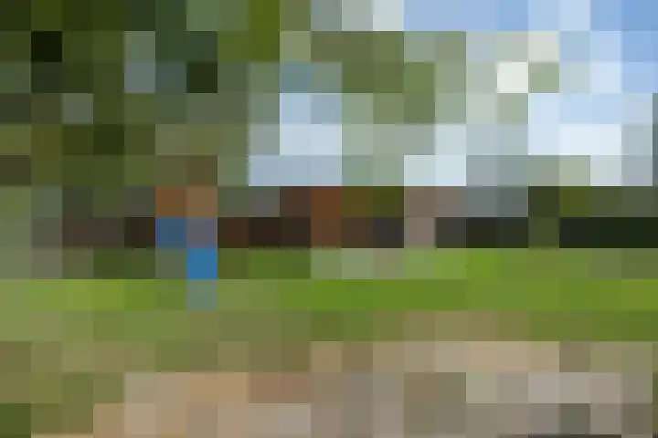 Kerkhofsweg 3 Kantens thumbnail 60