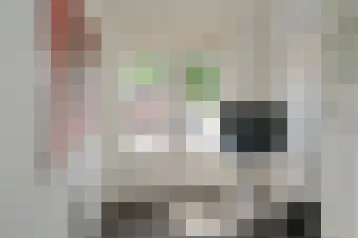 Kerkhofsweg 8 Almelo thumbnail 16