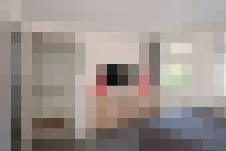 Kerkhofsweg 8 Almelo thumbnail 20