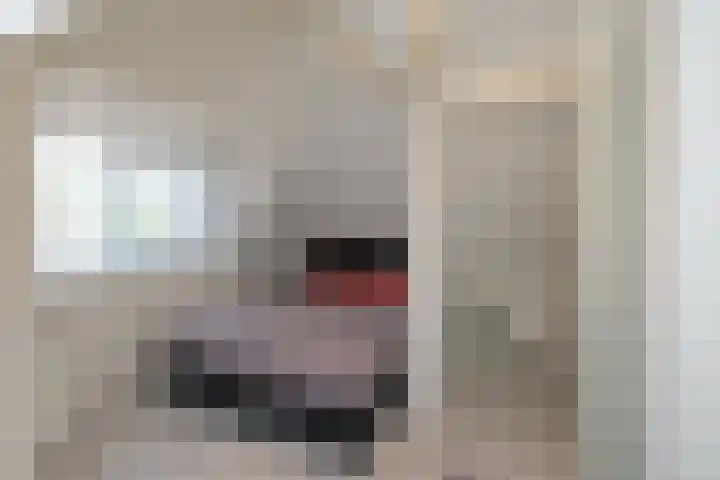 Kerkhofsweg 8 Almelo thumbnail 22