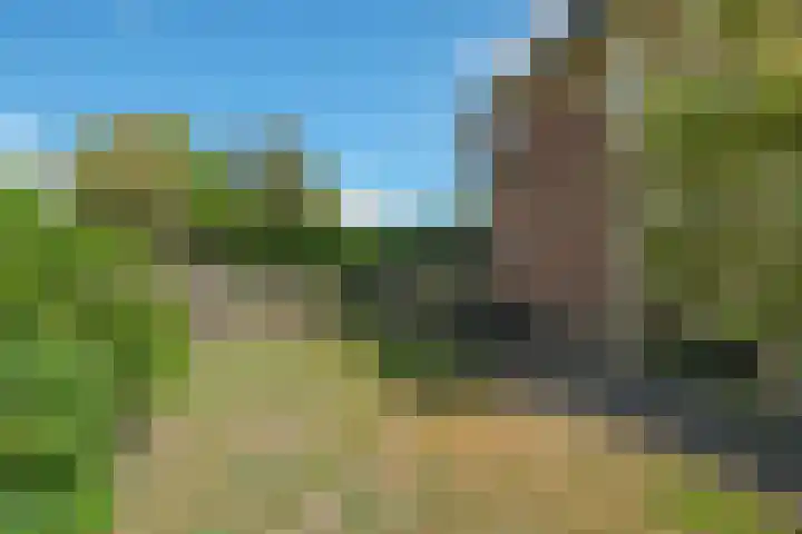 Kerkhofsweg 8 Almelo thumbnail 4