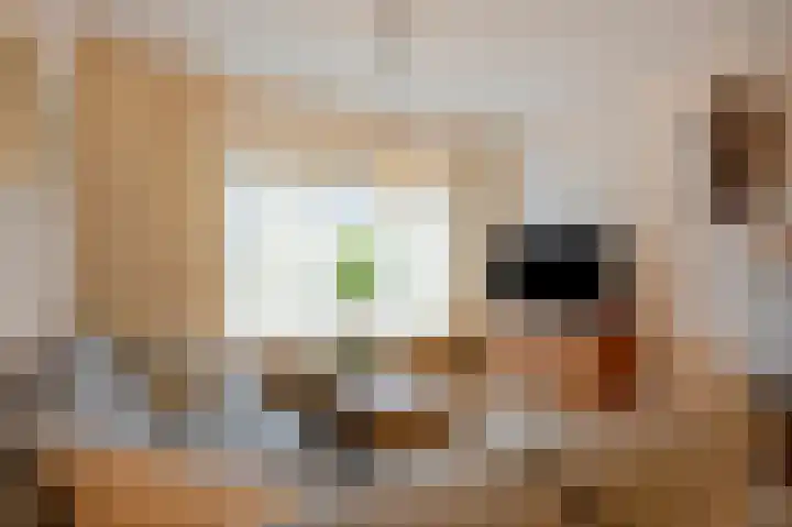 Kerkhofweg 11 Einighausen thumbnail 12