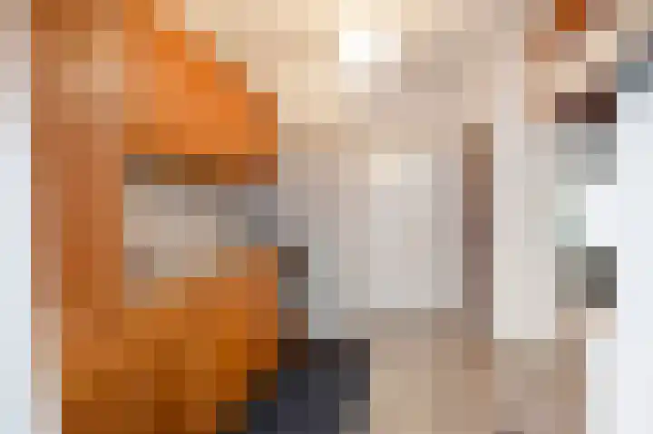 Kerkhofweg 11 Einighausen thumbnail 18