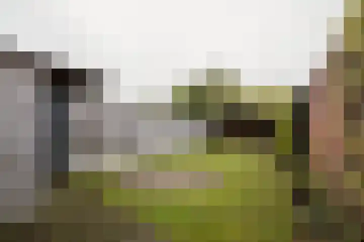 Kerkhofweg 114 Overdinkel thumbnail 38