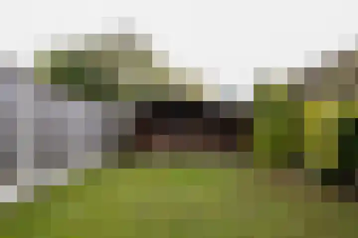 Kerkhofweg 114 Overdinkel thumbnail 39