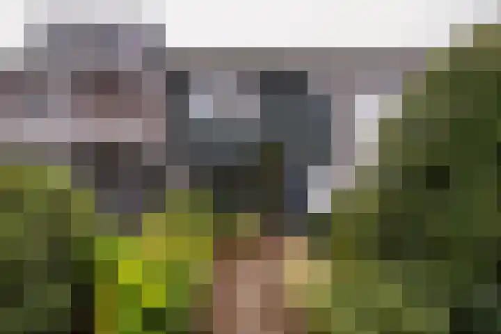 Kerkhofweg 114 Overdinkel thumbnail 4