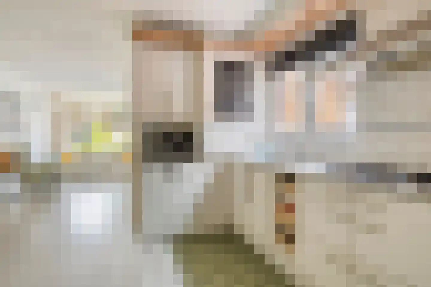 Kerkhofweg 131 Overdinkel thumbnail 16