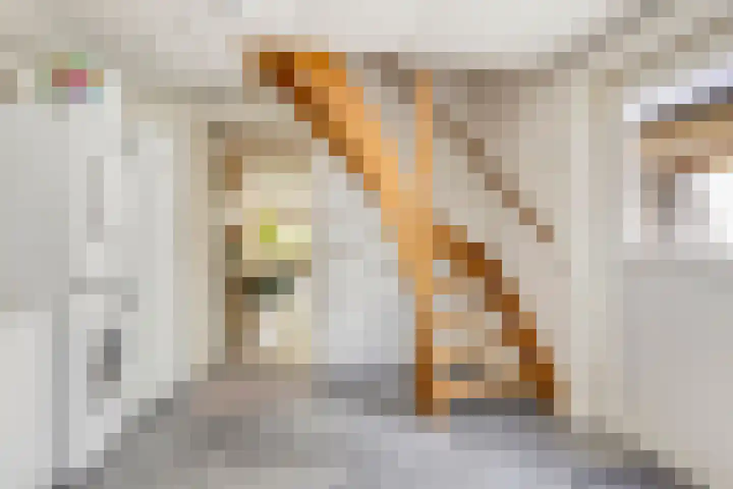 Kerkhofweg 131 Overdinkel thumbnail 19