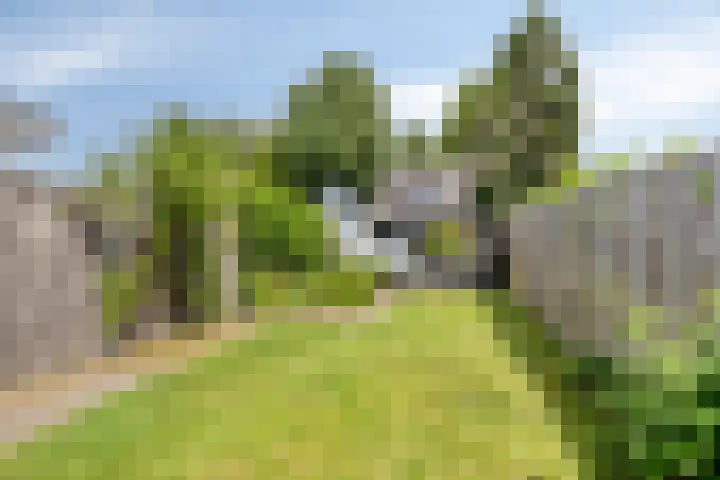 Kerkhofweg 131 Overdinkel thumbnail 29