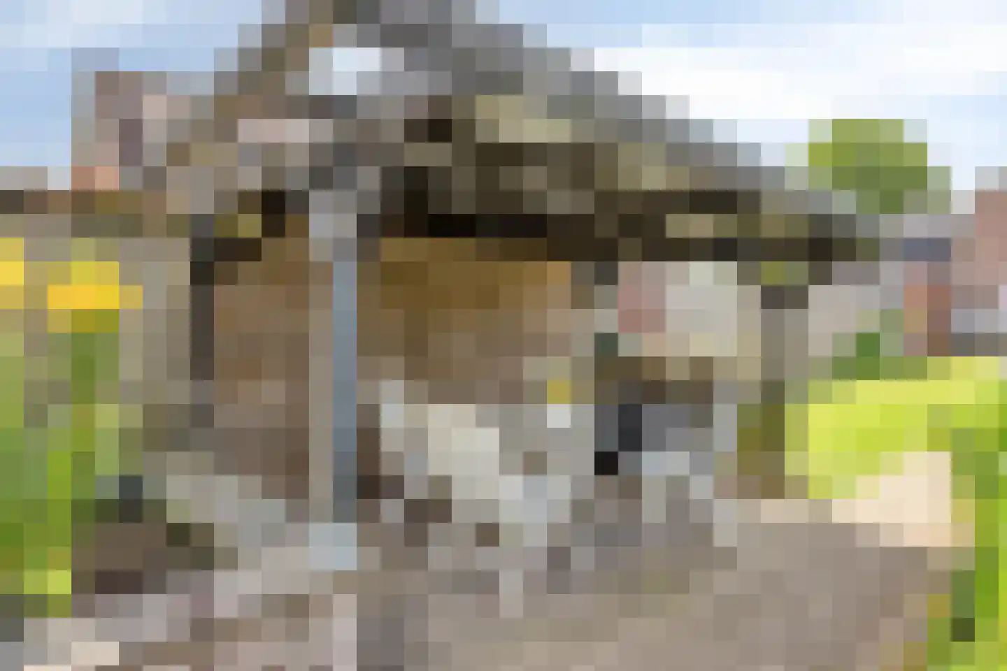 Kerkhofweg 131 Overdinkel thumbnail 31