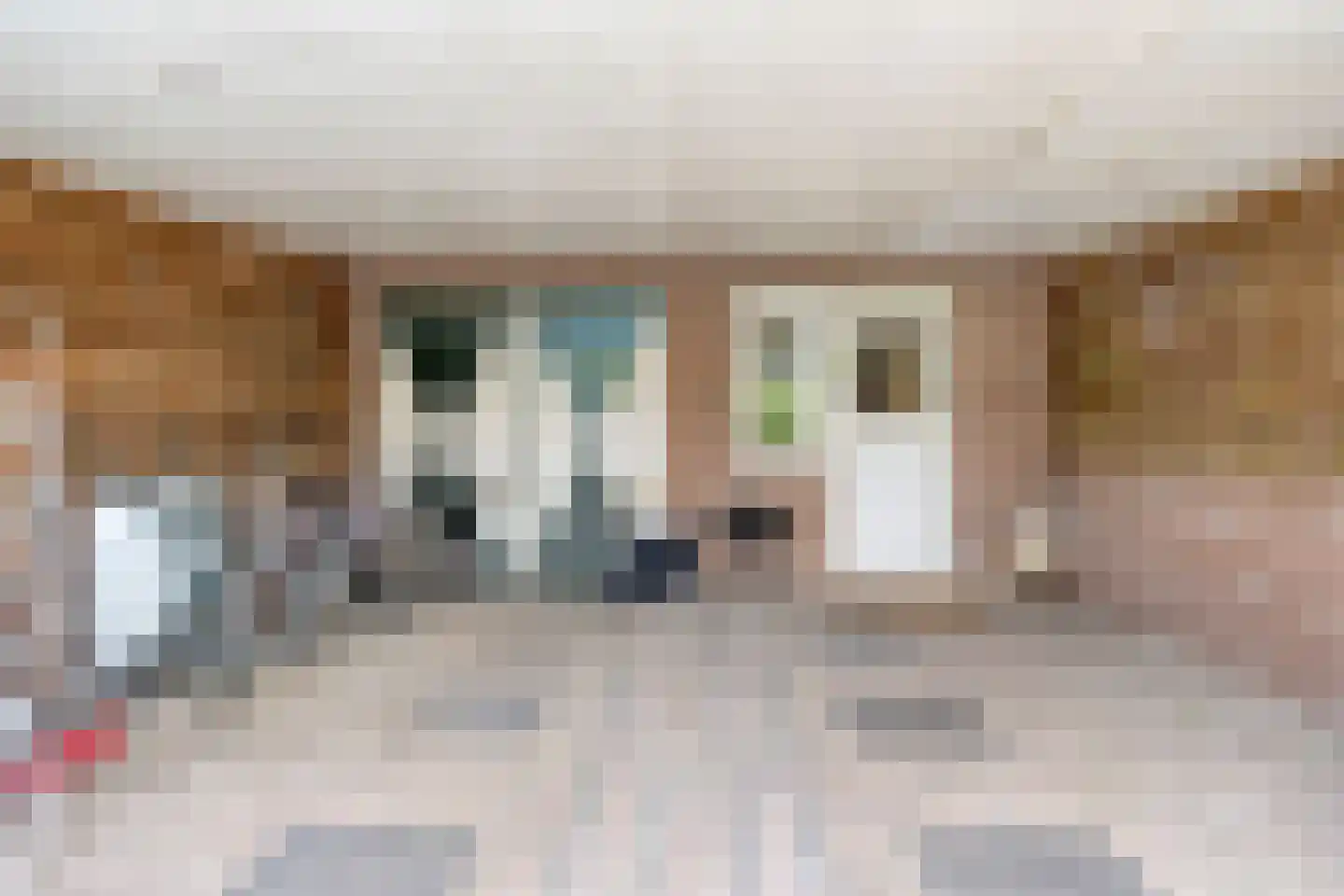 Kerkhofweg 131 Overdinkel thumbnail 33