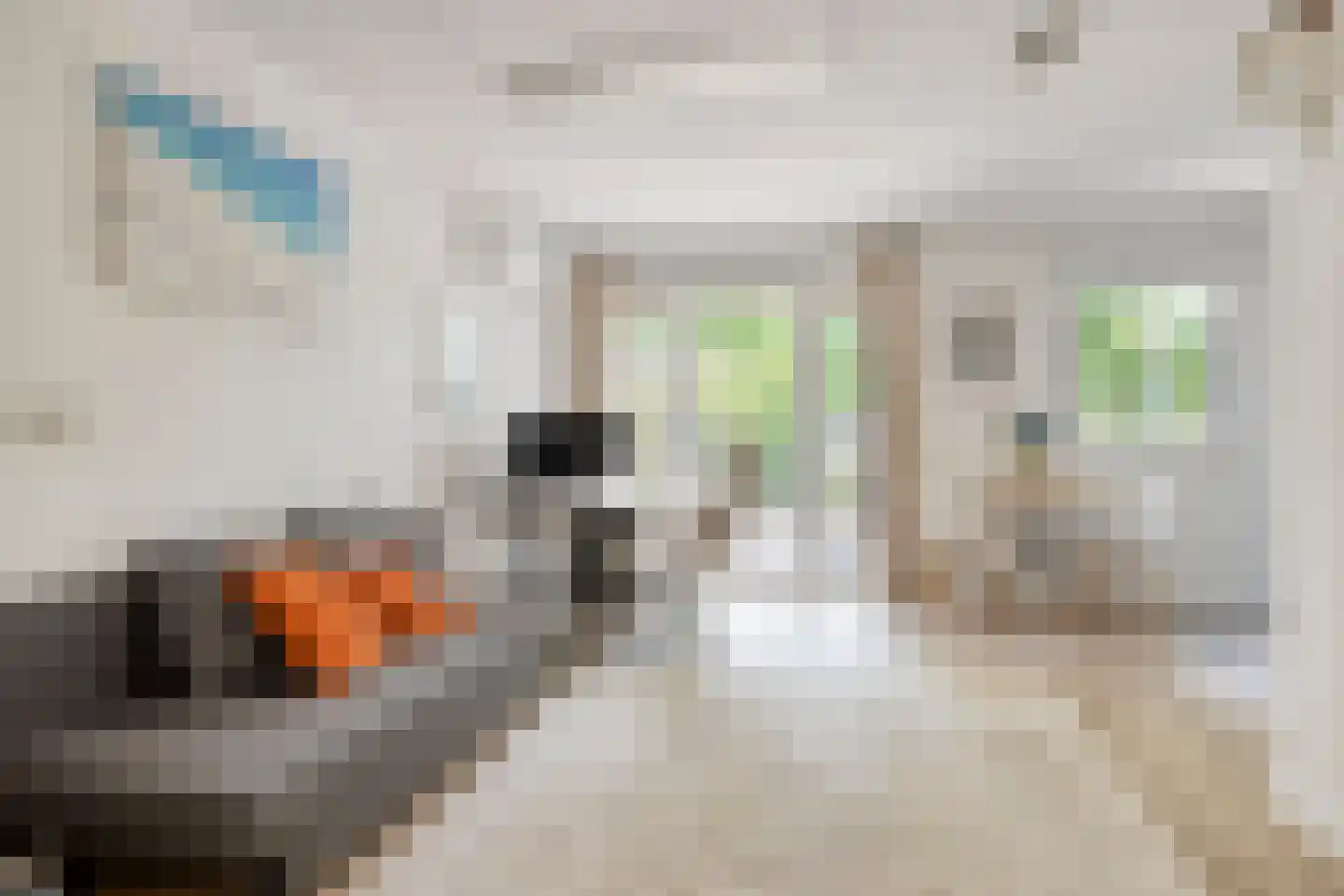 Kerkhofweg 131 Overdinkel thumbnail 36