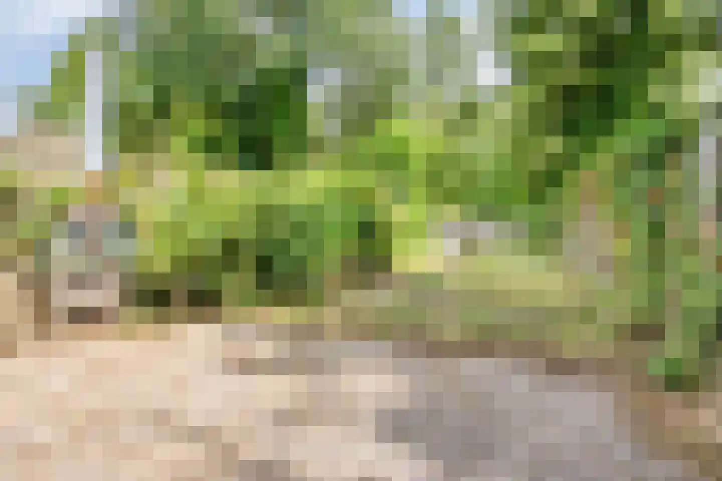 Kerkhofweg 131 Overdinkel thumbnail 41