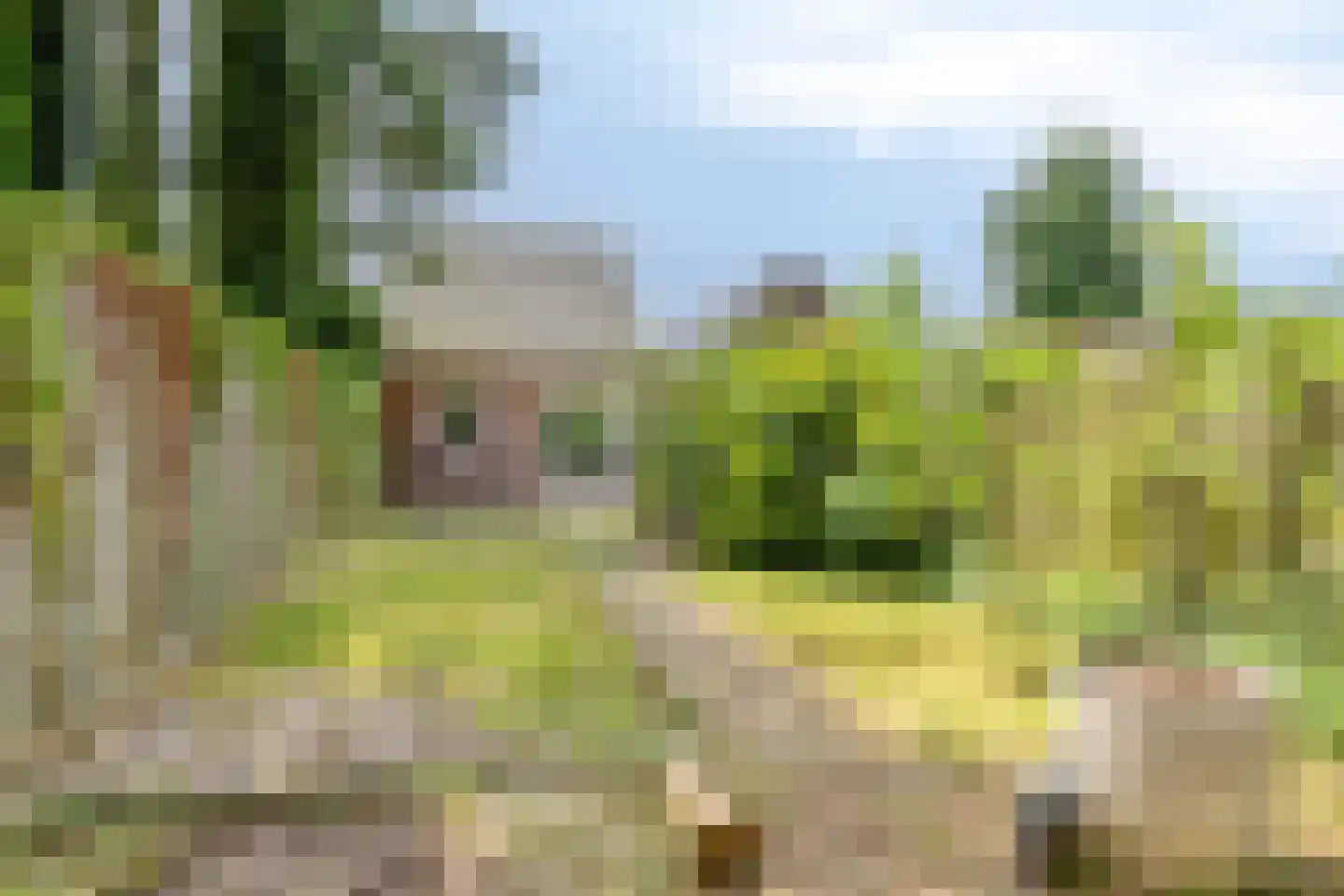 Kerkhofweg 131 Overdinkel thumbnail 42