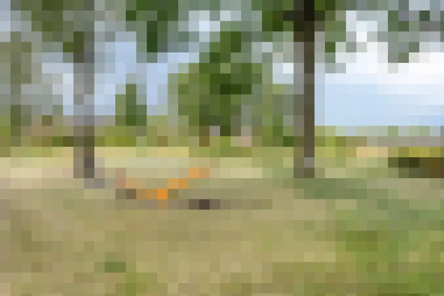 Kerkhofweg 131 Overdinkel thumbnail 45