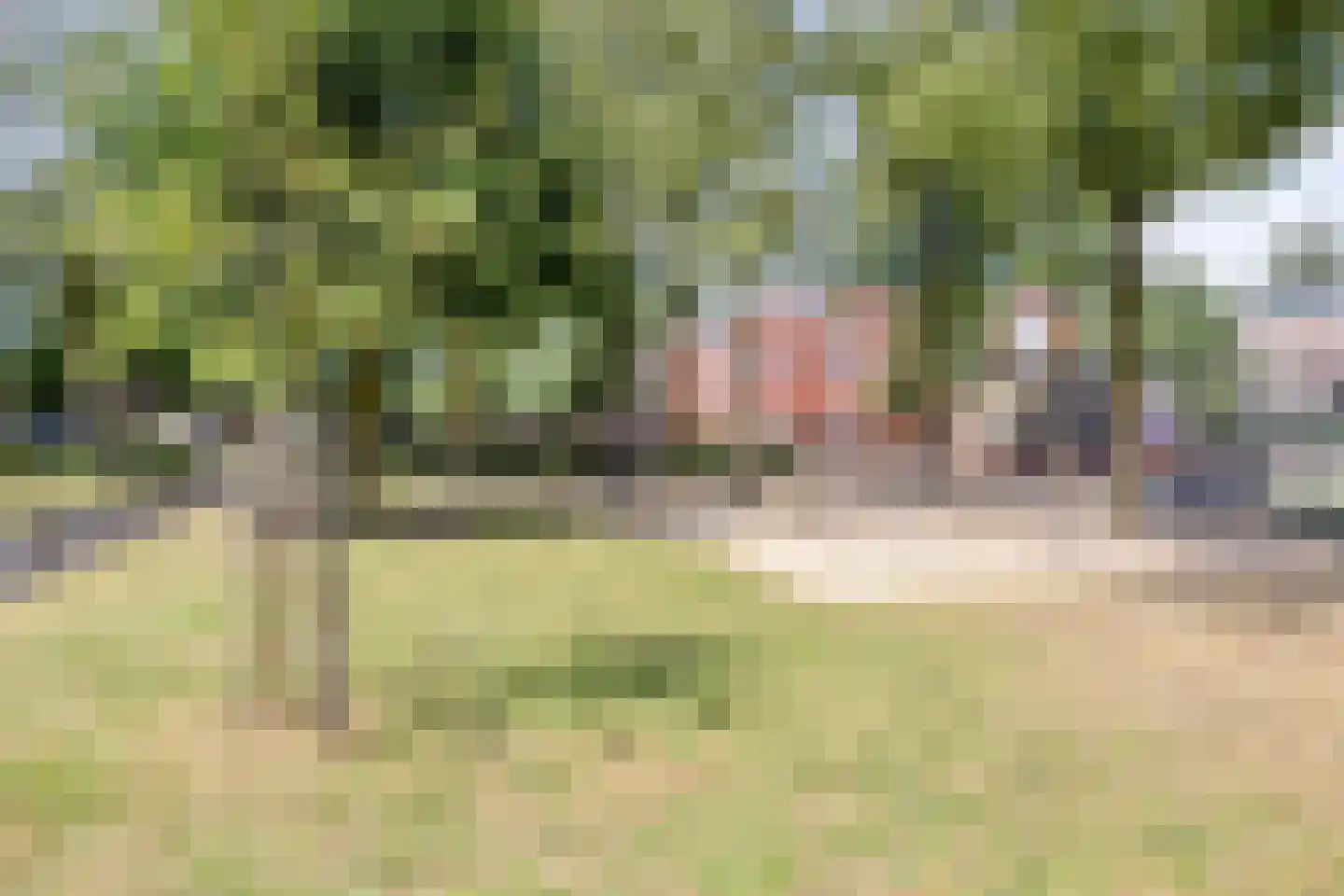 Kerkhofweg 131 Overdinkel thumbnail 46