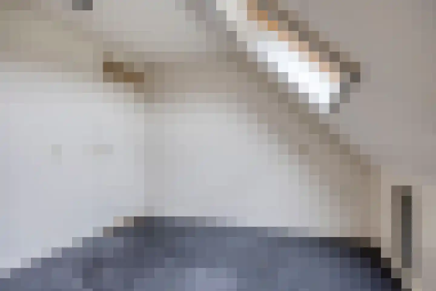 Kerkhofweg 15 Steenderen thumbnail 25